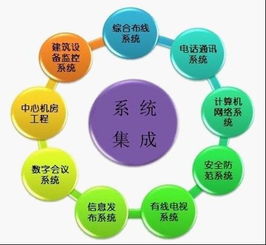拉勾網(wǎng) 信息系統(tǒng)集成服務(wù)的價(jià)值與未來趨勢(shì)